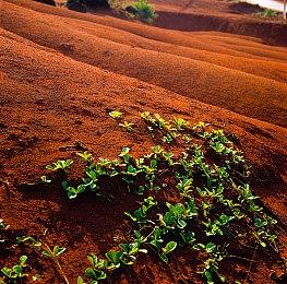 Steam秋季特卖现已开始 《赛博朋克2077》新史低149元