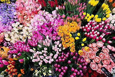 冒险游戏《铁山奇谭》Steam页面 年内发售